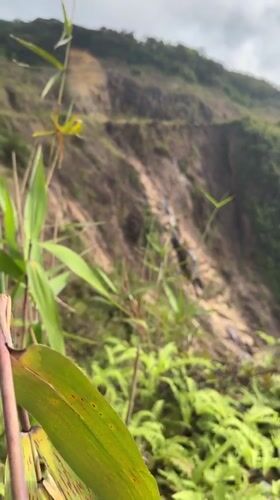 Mountain road and rocky terrain documented in Nam Khanh Vinh
