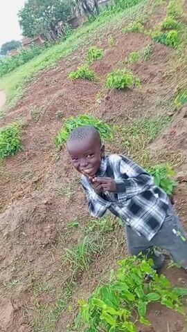 A young Black child wearing a plaid shirt and dark pants stands in a field with rows of plants. The child is smiling and making gestures with their hands. The ground is dry earth, and there are green plants growing in rows. The background shows more greenery and some structures that appear to be buildings.