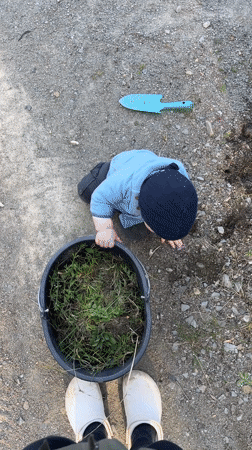 Toddler plays outdoors with Corgi in German villages