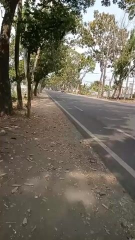 A truck travels down a paved road lined with trees on the left side. On the right side of the road, there are more trees and a sidewalk. A motorcycle passes by the camera. A gray car follows the motorcycle. Another truck, this one carrying what appears to be metal pipes, travels down the road in the opposite direction. The sky is clear and the sun is shining.