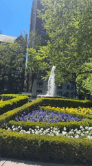 Spring afternoon scenes documented across New York City