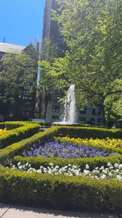 Spring afternoon scenes documented across New York City