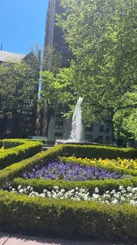 Spring afternoon scenes documented across New York City