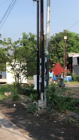 The video shows an outdoor scene with several utility poles in the foreground. Behind the poles, there is a paved area with some vegetation and a small ditch. In the background, there are buildings and trees. Several people are visible in the scene. On the left, a person is partially obscured by a tree. In the middle of the scene, two people are walking on the paved area, and another person is sitting. To the right, a person is crouched down. The sky is clear and the lighting suggests it is daytime.