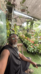 A quiet morning in Lekki — gardens, wind chimes, and Lagos streets.