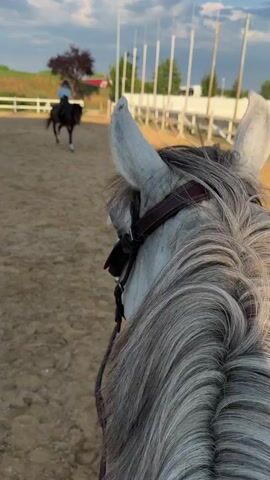 The video begins with a close-up shot of the back of a horse's head and neck, showing its grey mane. The horse is in a sand arena, likely for horseback riding. In the distance, another horse and rider are visible, appearing to be in motion. The background consists of a white fence, some trees, and a sky with some clouds. The sun appears to be setting or rising, casting long shadows. The camera perspective suggests the video is being filmed from the viewpoint of someone riding the horse in the foreground. The scene is tranquil and suggests a moment of leisure or training in an equestrian setting.