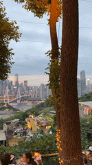 Chaotianmen Bridge and skyline views captured in Nan'an District