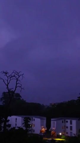 The video shows a night scene under a dark, purple sky. Two white buildings are visible in the foreground, illuminated by warm interior lights. A silhouetted, leafless tree stands to the left of the frame, adding a stark contrast to the buildings and sky. A line of green trees is situated behind the white buildings, with faint lights from another building visible further in the background on a slight incline. The overall atmosphere is dark and somewhat ominous.