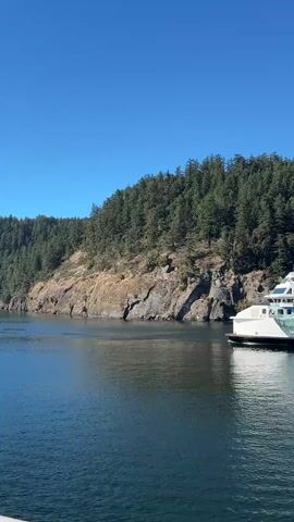 A BC Ferries vessel travels through calm, dark blue water near a steep, tree-covered cliff face under a clear, bright blue sky. The ferry is white with blue and green wave-like graphics along its side and the text "BCFerries" in large blue letters. The ferry appears to be in motion, moving from left to right in the frame. The cliff is rugged and rocky, with dense green trees covering its upper slopes. Sunlight illuminates the scene, casting shadows on the water and highlighting the textures of the cliff and the ferry.