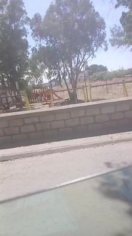 The video displays a side view from a moving vehicle, looking towards a sunny outdoor scene. In the foreground, a paved street shows tree shadows. A low, light-colored stone or brick wall runs parallel to the street. Behind the wall is a park-like area with numerous tall trees, some with light-colored trunks and green foliage. Several small, simple buildings are visible through the trees in the mid-distance. A playground structure, appearing red and yellow, is partially visible behind the wall at the beginning of the video. At approximately 0:03, a silver car with a red rear bumper briefly passes in the opposite direction. The sky is bright and clear. No individuals are visible.