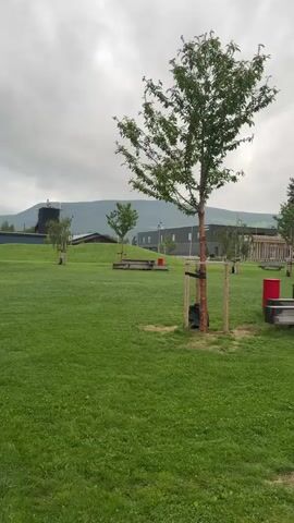The video displays a park or green space in Vinstra, Norway, on an overcast day. The scene slowly pans from left to right, revealing a grassy area with several trees. In the foreground, a young deciduous tree, supported by wooden stakes, stands prominently. Behind it, various wooden benches or picnic tables are scattered across the grass, some with red cylindrical objects next to them, possibly bins.

As the camera pans, more trees become visible, including several taller evergreen trees. A black paved path runs along the right side of the frame. In the mid-ground, a colorful playground structure can be seen, partially obscured by trees. Further in the background, modern-looking buildings are visible, nestled against a backdrop of mountains under a cloudy sky. No people or activities are visible, suggesting a quiet, peaceful atmosphere.