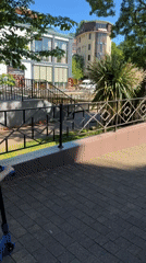 Children play, tourists browse in sunny Sochi afternoon