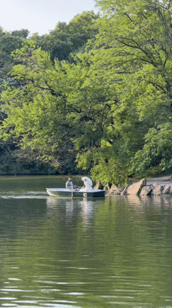 Rowing and relaxing at Central Park on a sunny afternoon