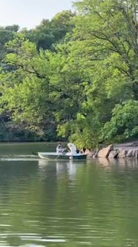 Rowing and relaxing at Central Park on a sunny afternoon