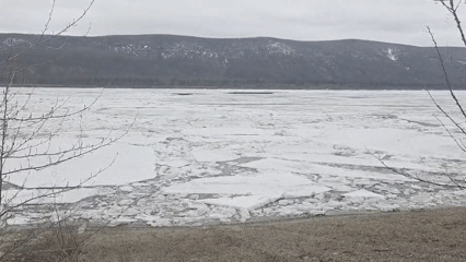 Children pose outdoors amid spring ice breakup in Lensk