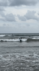 Dog joins surfers and families at busy Galle beach