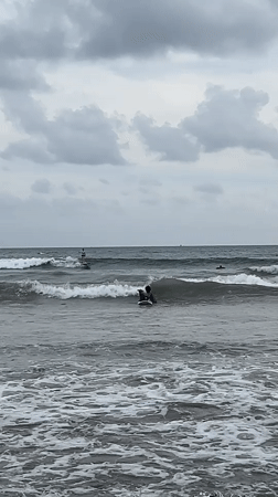 Dog joins surfers and families at busy Galle beach