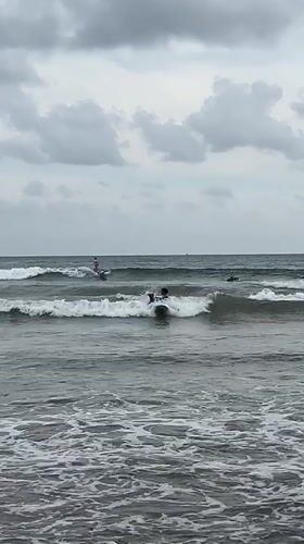 Dog joins surfers and families at busy Galle beach