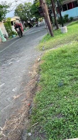 The media file captures a street scene in Kalisampurno, Indonesia, likely during the late afternoon or early evening, as suggested by the soft, diffused light. The weather appears to be clear and warm, with lush green grass lining a paved road.

The primary subjects are several individuals on motorcycles. In the foreground, a person rides a black motorcycle, wearing a red helmet and a black jacket. Further down the road, two more motorcycles are visible, with riders also in motion. The road itself is a dark asphalt, showing some wear and tear, with a rougher, unpaved edge where the grass begins.

The setting is a residential or semi-rural area. Houses with light-colored walls and fences are visible on the left side of the road, with a gate marking an entrance. On the right, more of the green grassy area dominates, with a utility pole featuring various wires and signs. The overall atmosphere is one of everyday life and transportation.

There are no discernible emotions explicitly conveyed, but the presence of people actively riding motorcycles suggests movement and perhaps a casual commute or recreational activity. The location cues, such as the architecture and the type of vegetation, strongly indicate an Indonesian setting.

Visible text is limited and mostly illegible due to the image resolution and distance. There is some text on signs attached to the utility pole on the right, but it cannot be clearly read. The overall impression is a snapshot of a tranquil street in a tropical or subtropical environment.