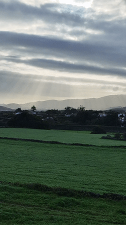 Spring blooms and pastoral scenes captured in Ribeira Grande