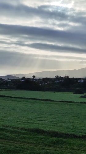 Spring blooms and pastoral scenes captured in Ribeira Grande