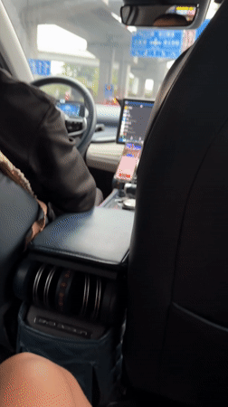 Driver captured on video from backseat in Guangzhou vehicle