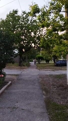 A young person rides a bicycle down a paved path bordered by trees and grass. The person is wearing a light-colored shirt and dark shorts, with a pink backpack. They appear to be moving away from the camera. The scene is outdoors, with leafy green trees on the left side of the path and a grassy, somewhat overgrown area on the right. A dark-colored vehicle is parked in the background, partially obscured by trees. A concrete pillar is visible on the right side of the frame, suggesting a built environment adjacent to the natural elements. The lighting suggests it is either early morning or late evening, with soft, diffused light. No text is visible in the media file. The overall atmosphere is peaceful and ordinary, depicting a moment of simple outdoor activity. The location is identified as Donskoye, Russia.