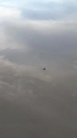 The video shows a close-up of murky water with reflections of clouds in the sky. A disturbance in the water, creating ripples, is visible in the center of the frame, suggesting something may have entered the water or is moving beneath the surface. Bubbles are also present.