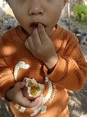 A young child wearing an orange sweater with a dinosaur pattern is holding a partially eaten passion fruit and appears to be tasting it. The child is looking down at the fruit with their mouth slightly open and fingers near their mouth. The background is blurry and appears to be an outdoor setting with dirt, some vegetation, and a brick wall. The footage is brief, focusing on the child's interaction with the fruit.