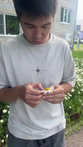 A young East Asian man stands outdoors, holding a white daisy with a yellow center. He is wearing a light gray, oversized t-shirt with a black compass rose logo printed on the chest. The man is looking down at the flower, his fingers gently pulling at one of its white petals. 

The setting appears to be a park or outdoor recreational area, with a gravel path visible behind him. In the background, there is a building with windows and trees. The lighting suggests it is daytime, with a slightly overcast or diffused light. The man's focused expression and the act of plucking petals from the daisy imply he is engaged in the common childhood ritual of "he loves me, he loves me not." The overall mood is contemplative and perhaps a little wistful. There is no visible text other than the compass rose logo on his shirt. The location context is Sestroretsk, Russia.