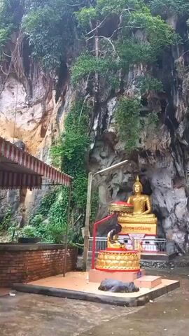The video shows a religious site at the foot of a rock face. The rock face is covered in green vegetation, including trees and vines. The entrance to a cave is visible in the rock face. In front of the rock face is a courtyard with golden Buddha statues on pedestals. The courtyard is paved and has a brick wall on one side, covered by a striped canopy. A lamp post and some metal railings are also visible. At the end of the video, a small structure with a red umbrella and an informational sign can be seen in front of the cave opening.