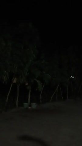 The video shows a dark outdoor scene with several trees lining a dirt or gravel path. Two buckets are visible on the ground near the trees. In the distance, some lights suggest the presence of structures or a settlement. The camera appears to be stationary, capturing a still, nighttime environment.