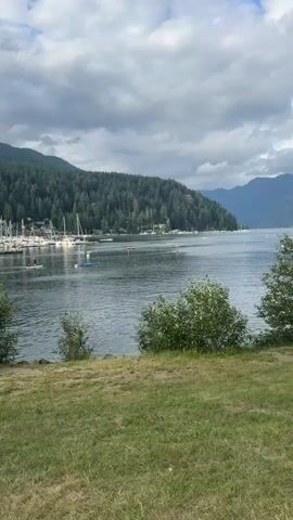 The video shows a wide shot of a body of water with a forested mountain range in the background. There are several sailboats docked on the left side of the frame and a few houses nestled among the trees on the hillside. The water is calm with a few scattered ripples, and there are several people in kayaks and on paddleboards spread across the water. The sky is cloudy. In the foreground, there is a grassy embankment. One person in a red kayak is paddling towards the right of the frame, and several other kayaks and paddleboards are visible further out in the water.