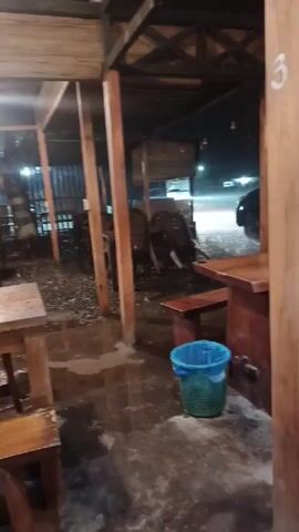 The video shows a rain-soaked outdoor seating area, likely a cafe or restaurant, at night. The area is covered by a wooden structure with a corrugated metal roof. Rain is pouring down, visible in the foreground and background. The floor is wet and reflective. There are several wooden tables and chairs, some of which are stacked or pushed aside. A green and blue plastic trash bin sits near a wooden counter. In the background, streetlights illuminate the wet road, and car headlights can be seen. The scene appears deserted and quiet due to the heavy rain.