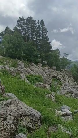The video shows a mountainous landscape with rocky terrain and lush green vegetation. In the foreground, there are large rocks and dense green grass. In the middle ground, the terrain slopes upwards with more rocks and trees, including tall pine trees on the left. In the background, rolling green hills and mountains are visible under a cloudy sky. A person in red is seen walking on a path to the right in the distance. The overall scene depicts a natural, outdoor environment, likely a hiking trail or a mountainous region.