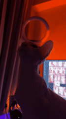 Domestic moments: hairless cat and red eggs in Khimki