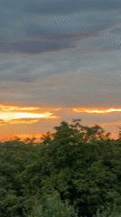 Cloudy sunset breaks through with orange light over Wrocław woods