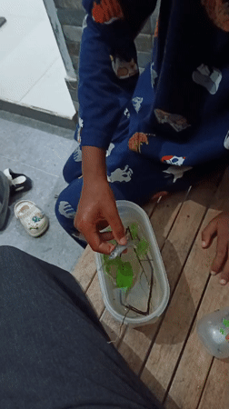 Late-night roadside moments with kids in rural Aceh