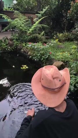 A person wearing a cowboy hat and a black long-sleeved shirt is sitting by a pond in a lush garden, possibly smoking. The garden has various plants, flowers, ferns, and small trees. Another person, slightly out of focus, is tending to plants near the edge of the pond. There's some laughter heard in the background. The pond appears to have fish or other aquatic life in it.