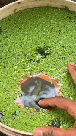 Ahmedabad, India