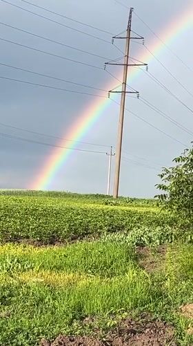 Rainbow over farmland near Kozova, Ukraine