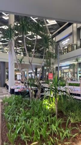 This media file depicts an indoor market or mall setting, likely in Wanasari, Indonesia. The scene is dominated by lush greenery in the foreground, with several potted plants and trees creating a naturalistic element within the built environment. Behind the plants, tables are set up displaying numerous books, suggesting a book fair or a pop-up bookstore. The market appears to be on multiple levels, with escalators and railings visible in the background, indicating a modern commercial space.

Various shops are visible in the distance, some with illuminated signage. One sign clearly reads "POPCORN," and another displays "HOKA" above a storefront. Other signs are present but are either too small or blurry to decipher. People are sparsely visible, moving around the market and browsing the book displays or shops.

The lighting suggests it is daytime, with artificial lights from the mall ceiling illuminating the interior. The overall atmosphere seems calm and leisurely, with no indication of any specific event or hurried activity. The focus is on the arrangement of books and plants, creating a visually appealing and somewhat serene market environment. The presence of the plants suggests an effort to bring nature indoors, possibly to enhance the shopping experience.