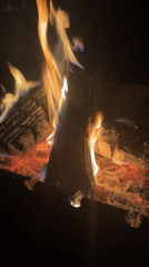 Campfire burning in a fire pit, Imatra, Finland