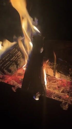 Campfire burning in a fire pit, Imatra, Finland