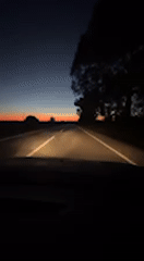 Driver travels twilight road in San José del Valle