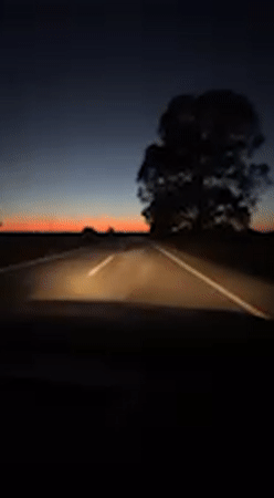 Driver travels twilight road in San José del Valle