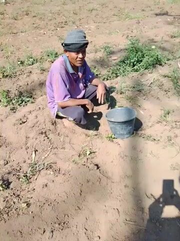 A person wearing a purple shirt and a grey cap is squatting on sandy ground next to a black bucket. The person is looking towards the camera and then wipes their eye. The background consists of dry, dusty ground with sparse green vegetation. In the distance, there are trees and some buildings. The overall environment appears to be rural or agricultural.
