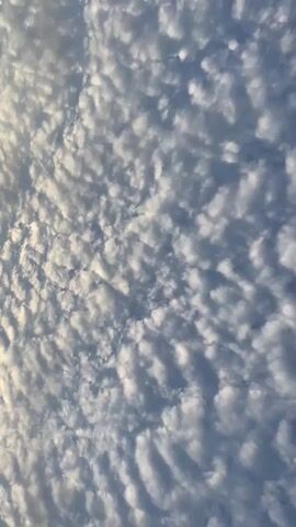 The media file shows a wide-angle shot of a sky filled with altocumulus clouds. The clouds are small and puffy, arranged in rows and waves, creating a textured appearance. The sky behind them is a clear blue. The lighting suggests it is either early morning or late afternoon, with the sun casting a soft glow on the clouds from the left side of the frame. Silhouettes of tree branches and a roofline are visible in the bottom left corner, indicating an outdoor setting. The overall impression is one of a peaceful and slightly overcast sky, characteristic of a tropical or subtropical climate. There is no visible text in the media file.