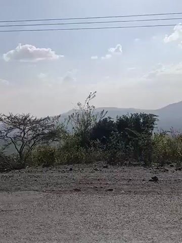 The video shows a landscape on a sunny day. In the foreground, there is a gray, rocky surface and some bushes. In the background, there is a mountain range under a sky with scattered clouds. Power lines stretch across the top of the frame. The camera is shaky and possibly moving.