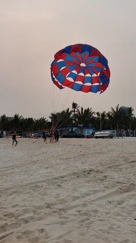 On a sandy beach under a cloudy sky, a large red, white, and blue parachute is being managed by several people. Palm trees line the background, along with a small building and a boat. Other beachgoers are visible in the distance. The people handling the parachute appear to be preparing it, as they are holding onto its ropes.